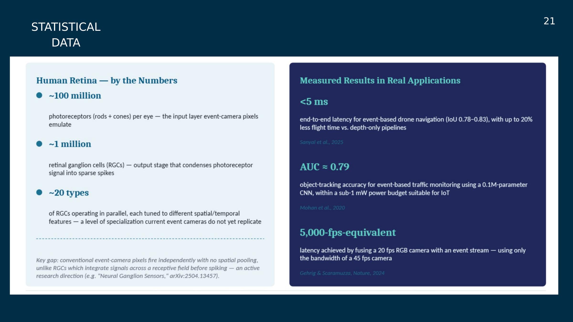 Slide 21: Human retina by the numbers
